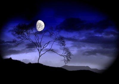 Love Spell Candle/Soap Fragrance Oil 1oz