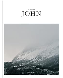 The Gospel of John (by Alabaster Co)