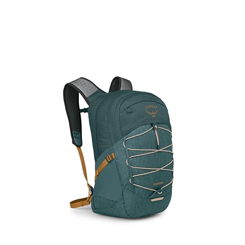 Osprey Quasar Unisex-Lifestyle-Rucksack, 26L, Torrent Blue Heather