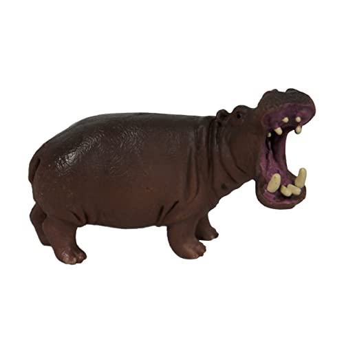 Hippo