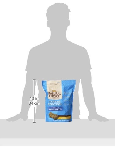 personalized dog clothes