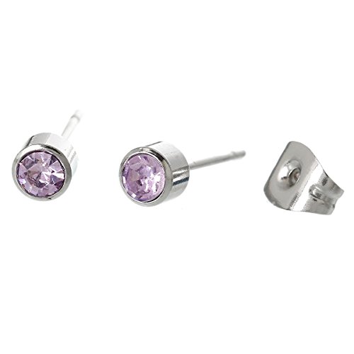 Birthday Stainless Steel Post Stud Earrings With Rhinestone (February Studs)