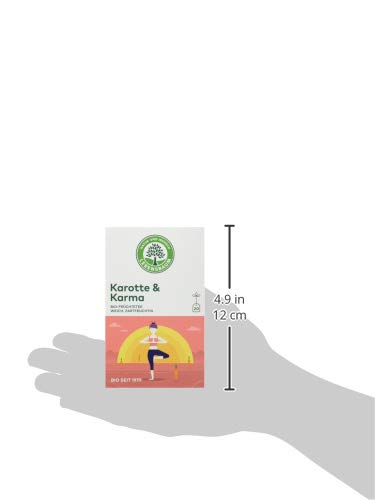Lebensbaum Bio Früchtetee Karotte und Karma (1 x 40 g) – Bild 5