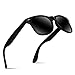 Polarized Sunglasses For Men-BIIII Women Driving Fishing Vintage UV400 Mirror Sun Glasses B0001 (Matte/Black) primary