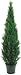 One 4 Foot Outdoor Artificial Cedar Topiary Tree Uv Rated Potted Plant