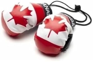 Mini Boxing Gloves with Flag Design – Stylish Hanging Car Mirror Accessory for Interior Décor.