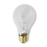 Bulbrite 60A/CL/RS-2PK 60 Watt Incandescent A19 Rough Service Bulb, Clear (12-Pack)