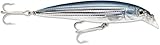 Rapala X-Rap Saltwater 10 SXR10MU: X-Rap Saltwater 10 Mullet