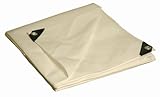 2 Pack Dry Top 20X30WHITE Heavy Duty 10 Mil Industrial Polyethylene White Tarp 20' x 30' (320305)