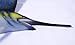 XL Handpainted Sailfish Wall Plaque 18