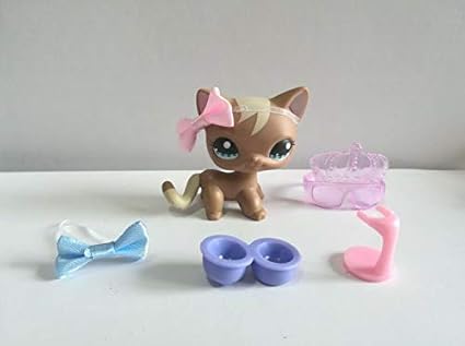 medium to large hypoallergenic dogs