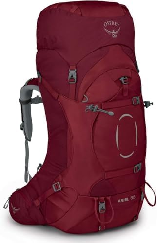 all pink north face backpack The North Face - Jester - Women's main image 1