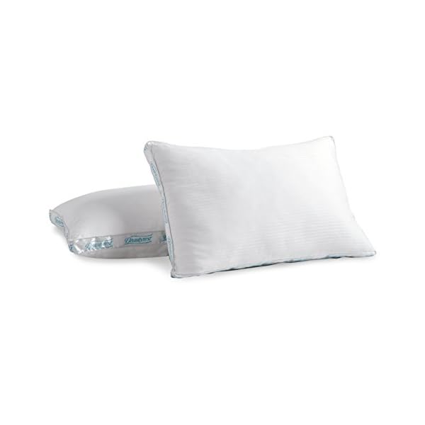 Beautyrest Extra Firm Pillow for Back & Side Sleeper, Two Pack, Queen