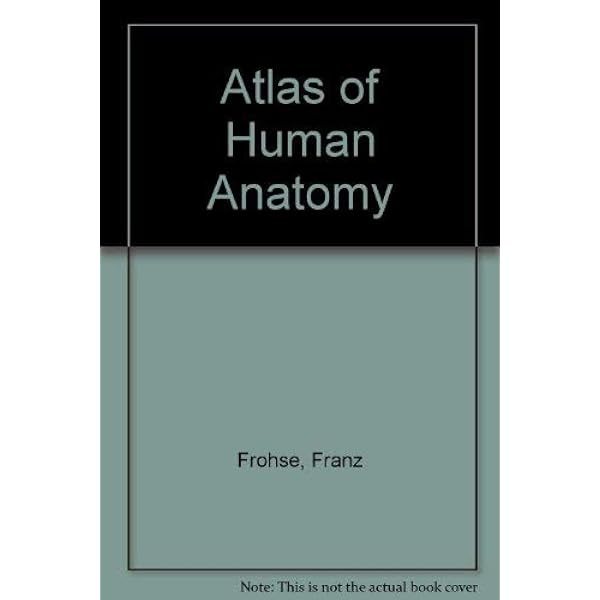 An Atlas of Histology [ペーパーバック] Zhang， Shu-Xin An Atlas of Histology: 9780387949543: Medicine & Health Science