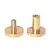 DGOL 50 Pairs Brass Backscrews Golden Leather Fasteners Sturdy Binding Rivets Belt Strap Collar Back Screws PU Studs Length (0.315 inch (8mm))