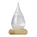 Suntown Global DIY Carving Commemorative Edition Valentine's Day Present Birthday Present 's Storm Glass Decorative Bottles Crafts Creative Stylish Weather Glass Weather Stations- Small