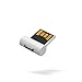 Leef Surge USB 2.0 16GB Low Profile High Speed USB Flash Drive with PrimeGrade Memory (White)