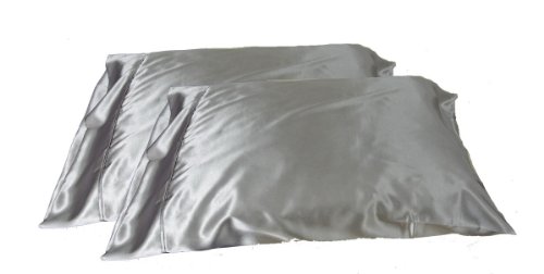 2pc New Queen/Standard Silk~y Satin Pillow Case Multiple Colors (Silver)