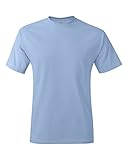 Hanes 6.1 oz. Tagless� T-Shirt - LIGHT BLUE - 2XL