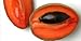 Fresh Mamey (Set of 2)