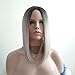 Short Wig Cosplay Wigs for Women Ombre Hair Silver Gray Synthetic Wigs Black to Grey Anxin Bob Straight Middle Part Full Head Wigs Heat Resistant (28CM, Grey)