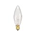 Replacement 7 watt 120 volt bulb for electric window candle lamp, 25 count by Darice primary