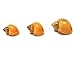 Aquatic Arts 5 Live Gold Mystery Snails Freshwater Aquarium Species/Real Living Glass Fish Tank Clearer | Nano Pets/Natural Decorations