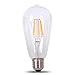 DC 12 Volt Cool White 6000k 6 Watt LED Filament ST64 Light Bulb E26 E27 Medium Base Lamp Low Voltage Marine Boat Solar Theatrical Production Stage Prop Retro Edison 12V Battery Lighting