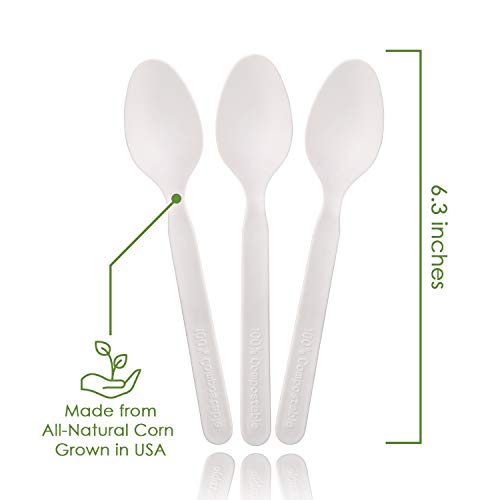 100% Compostable Spoons - 500 Large Disposable Utensils (6.5 in.) Bulk Size Eco Friendly Durable and Heat Resistant Plastic Spoons Alternative with Convenient Tray by Ecovita - Thumbnail 2