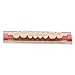 WECANDO 84 Pcs Dental Synthetic Resin Tooth Denture 3 Sets False Teeth for Halloween Horror Teeth 23 A3