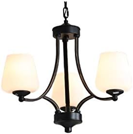 European Wrought Iron Chandelier Simple Living Room Bedroom Dining Room Decoration Lamps E14 Dimmable (Size : 3 Heads)