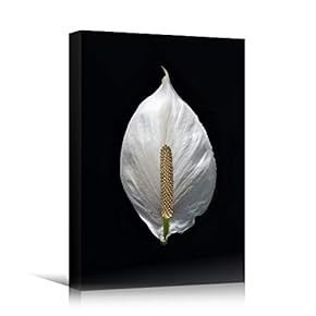 signwin Canvas Wall Art White Flower Portraiture Colorful...
