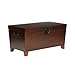 Southern Enterprises Pyramid Storage Trunk Cocktail Table, Espresso Finish