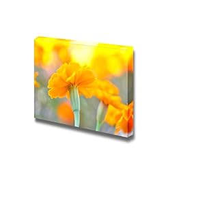 Close Up of Beautiful Yellow Cosmos Flower Wall Decor