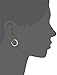 Amazon Collection Plated Sterling Silver Swarovski Zirconia Round Hoop Earrings (5.3 cttw)