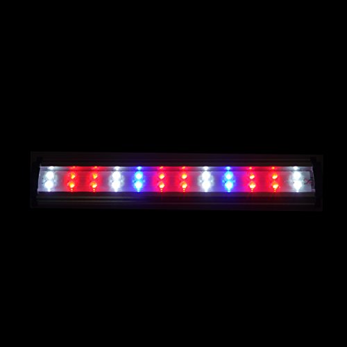 Vepotek Aquarium Tank Size: 58" H x 23.5" W x 23.5" D