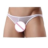 ManxiVoo Mens Sexy Perspective Underwear Shorts Underpants Pouch Soft Briefs Panties (L, White)