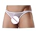 ManxiVoo Mens Sexy Perspective Underwear Shorts Underpants Pouch Soft Briefs Panties (L, White)