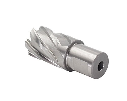 Annular Cutter JESTUOUS 3/4 Inch Weldon Shank 15/16 Cutting Diameter 1 Cutting Depth Two-Flat HSS Kit for Magnetic Drill Press,1 Piece
