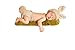 Ufraky Newborn Baby Boy Girl Photo Props Crochet Knitted Rabbit Hat Diaper Costume