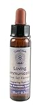Crystal Herbs Fragrance Essence, Loving Communication, 0.3 Ounce
