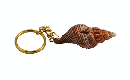 Key chain key ring sea shell pink conch dial best finis…