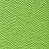 LeapFrog Epic Case - HOTCOOL New PU Leather With Kickstand Cover Case For LeapFrog Epic 7" Android-based Kids Tablet, Green