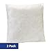 Amazon Basics Pillow Insert - 16-Inch Square, 2-Pack