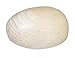 Bohin Wood Darning Egg (Wooden Craft Egg) ~ 1 pk ~ 75389
