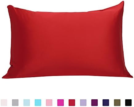 ZESTILK 100% Natural Silk Pillowcase with Hidden Zipper 1 PC (Queen 20"x30", Wine Red)