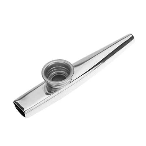Botrong Metal Kazoos Musical Instruments Flutes for Kids,Guitar, Ukulele, Violin, Piano Keyboard (Silver)