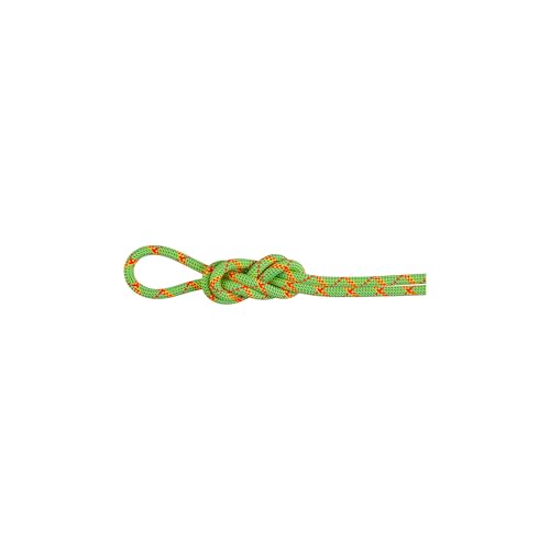 Mammut 8.0 Alpine Core Protect Dry Rope 70m 70 m