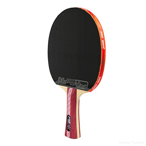 DHS Ping Pong Table Tennis Racket Paddle Bat 4 Star Shakehand Long Handle Double Pimples-in Bat 4002 with Landson Support