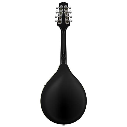 2 Donner+Mandolin+Instrument+Sunburst+DML+100B